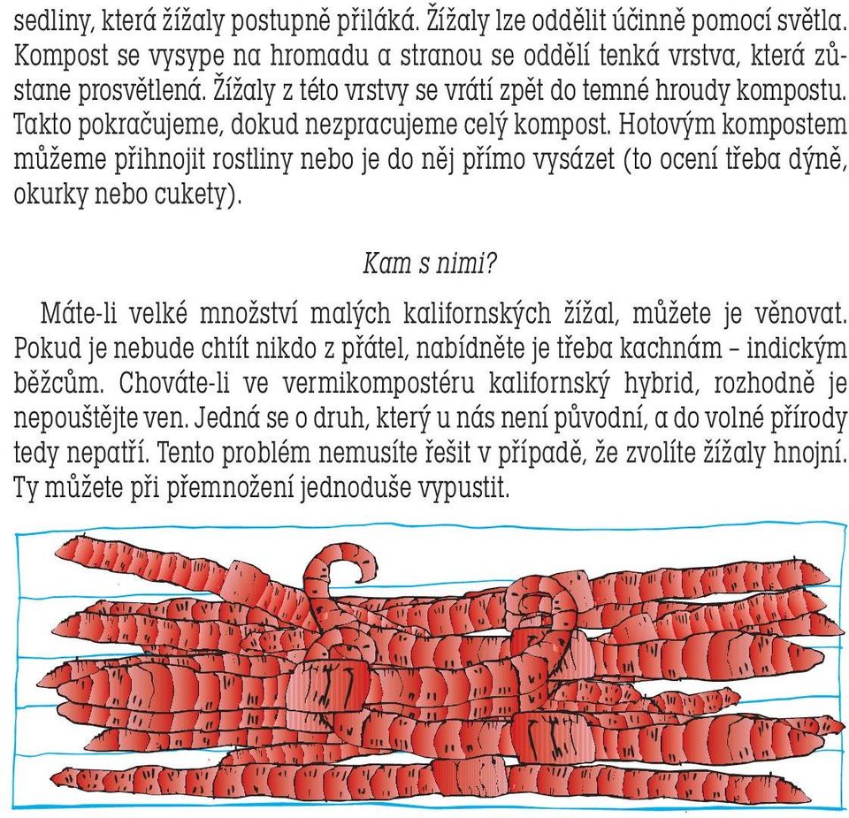 Hotovým kompostem můžeme přihnojit rostliny nebo je do něj přímo vysázet (to ocení třeba dýně, okurky nebo cukety). Kam s nimi? Máte-li velké množství malých kalifornských žížal, můžete je věnovat.