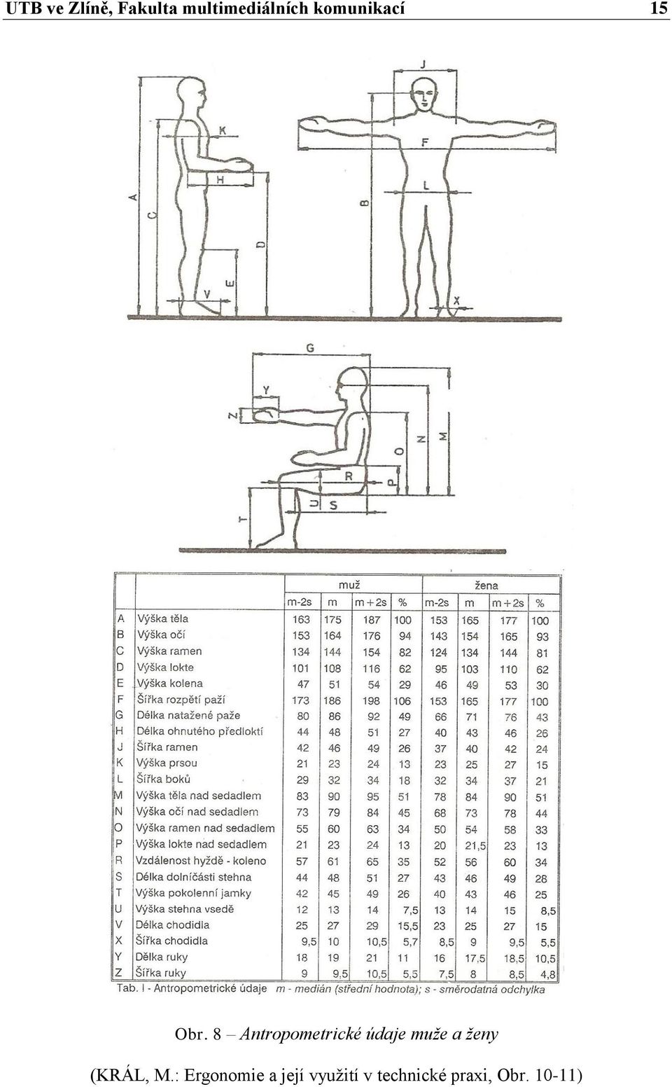 8 Antropometrické údaje muže a ženy