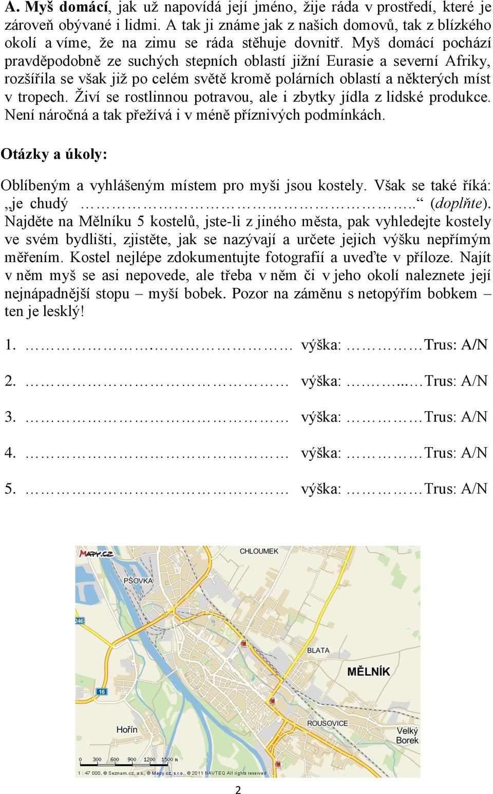 Živí se rostlinnou potravou, ale i zbytky jídla z lidské produkce. Není náročná a tak přežívá i v méně příznivých podmínkách. Otázky a úkoly: Oblíbeným a vyhlášeným místem pro myši jsou kostely.