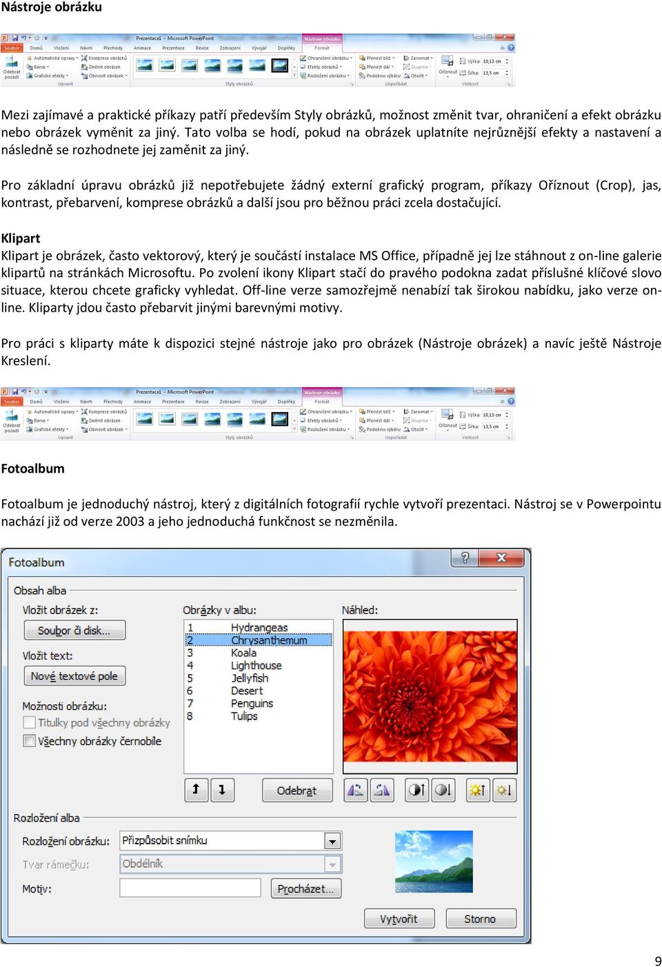 Pro základní úpravu obrázků již nepotřebujete žádný externí grafický program, příkazy Oříznout (Crop), jas, kontrast, přebarvení, komprese obrázků a další jsou pro běžnou práci zcela dostačující.