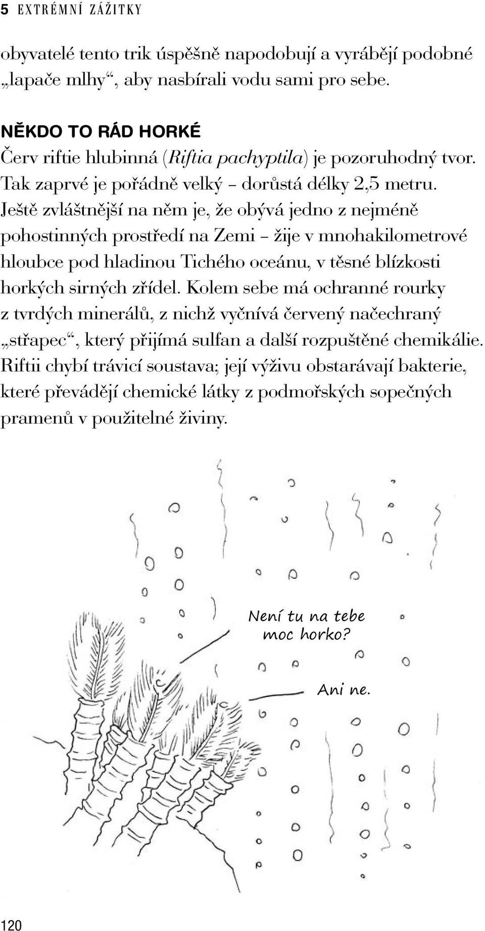 Ještě zvláštnější na něm je, že obývá jedno z nejméně pohostinných prostředí na Zemi žije v mnohakilometrové hloubce pod hladinou Tichého oceánu, v těsné blízkosti horkých sirných zřídel.
