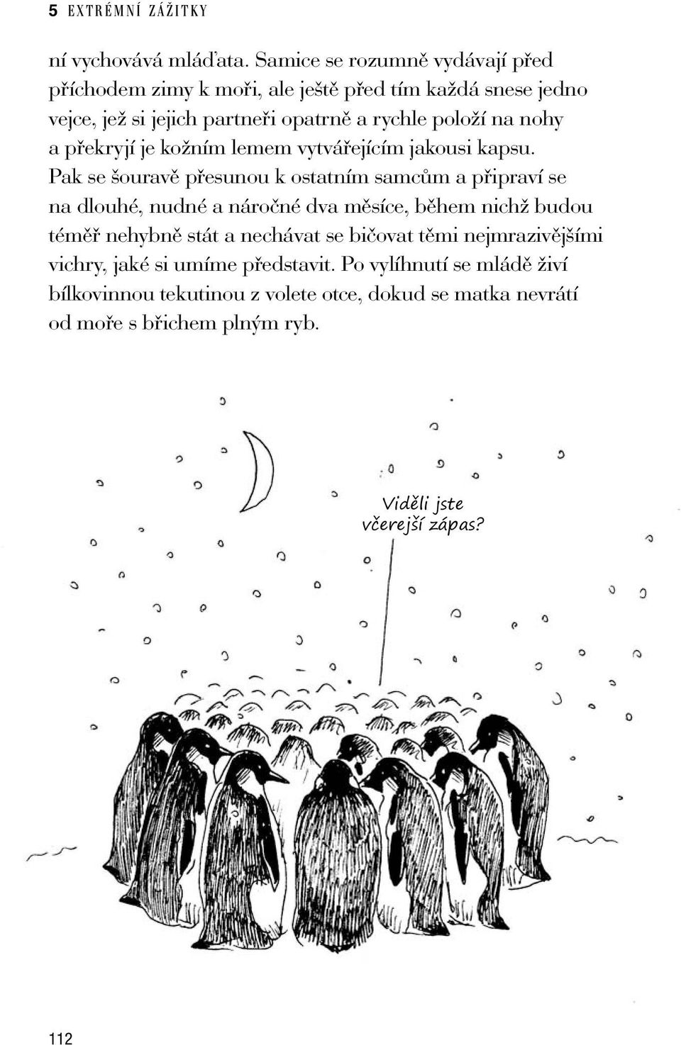 na nohy a překryjí je kožním lemem vytvářejícím jakousi kapsu.