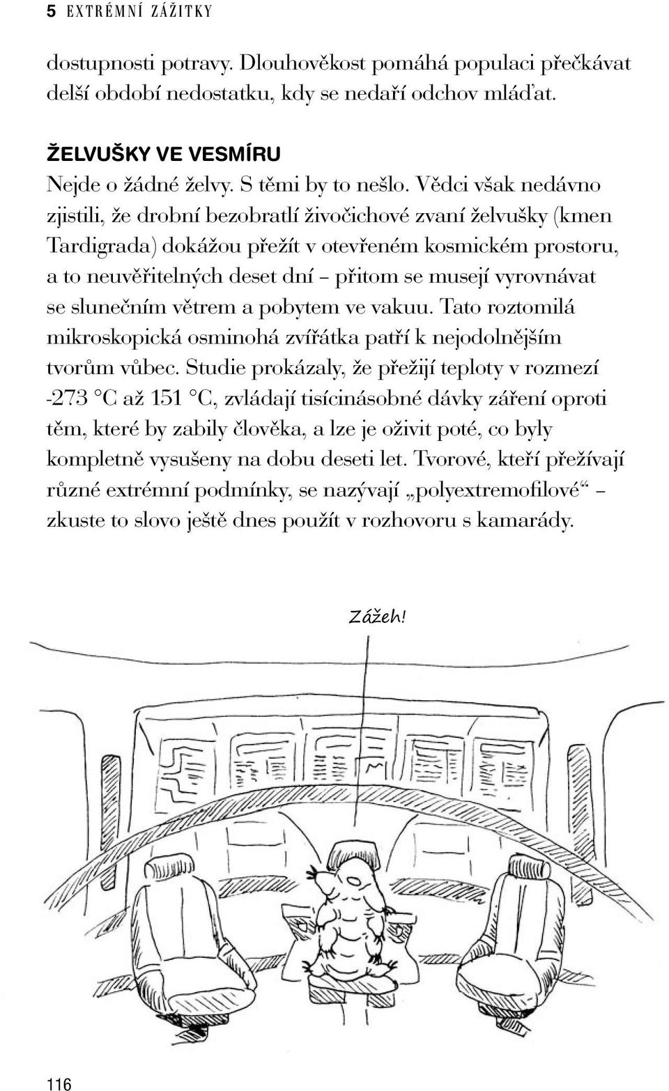 se slunečním větrem a pobytem ve vakuu. Tato roztomilá mikroskopická osminohá zvířátka patří k nejodolnějším tvorům vůbec.