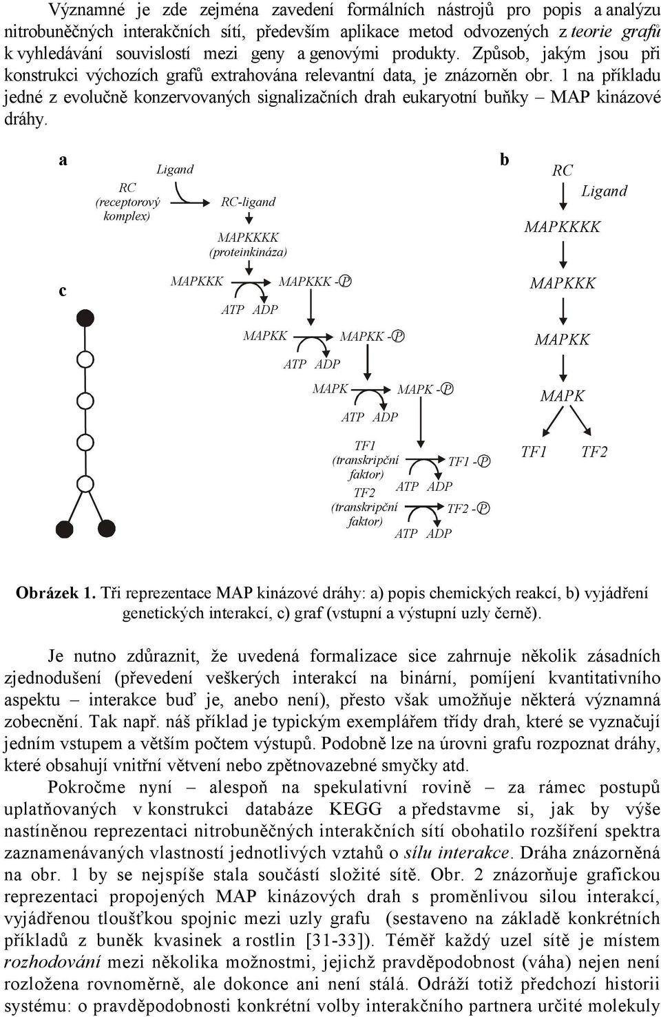 1 na příkladu jedné z evolučně konzervovaných signalizačních drah eukaryotní buňky MAP kinázové dráhy.