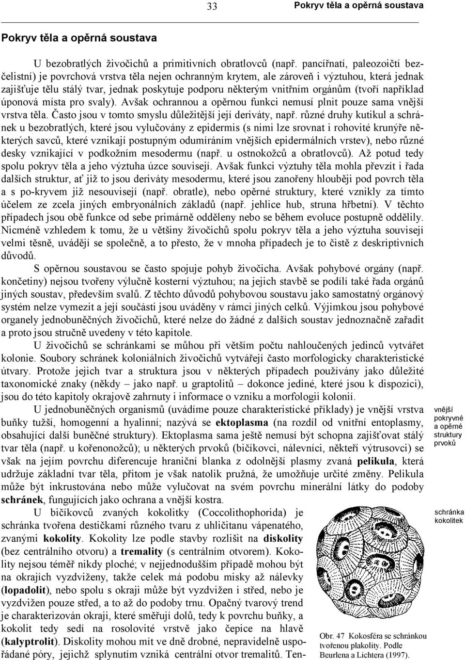orgánům (tvoří například úponová místa pro svaly). Avšak ochrannou a opěrnou funkci nemusí plnit pouze sama vnější vrstva těla. Často jsou v tomto smyslu důležitější její deriváty, např.
