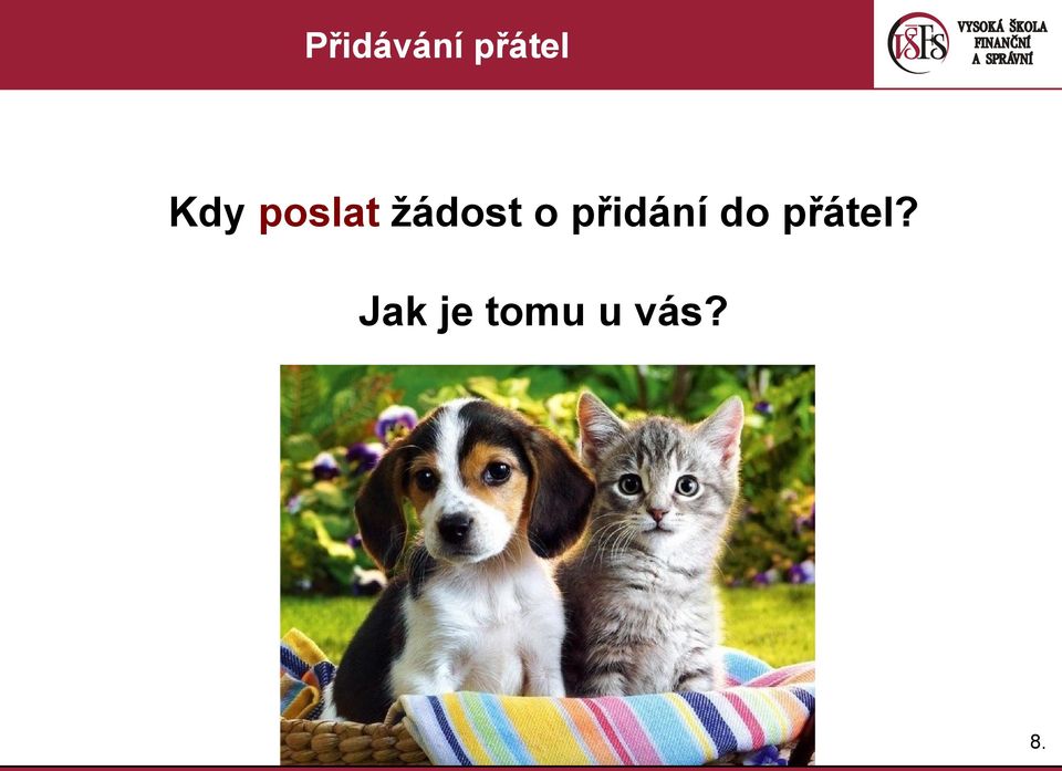 přidání do přátel?