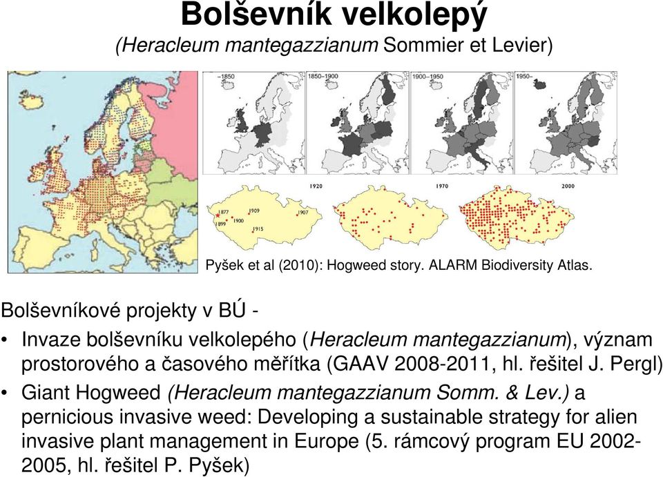 (GAAV 2008-2011, hl. řešitel J. Pergl) Giant Hogweed (Heracleum mantegazzianum Somm. & Lev.
