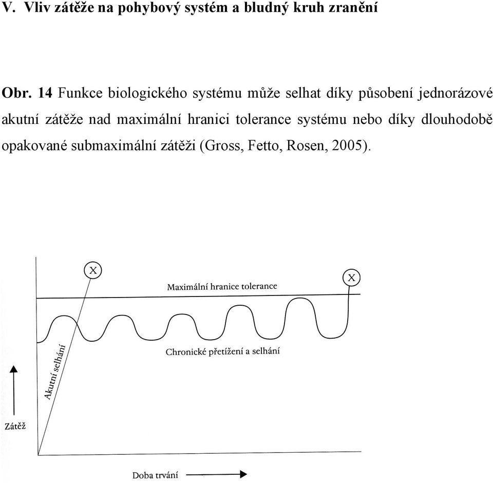 jednorázové akutní zátěže nad maximální hranici tolerance systému