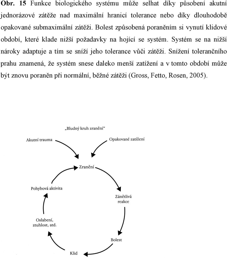 Bolest způsobená poraněním si vynutí klidové období, které klade nižší požadavky na hojící se systém.