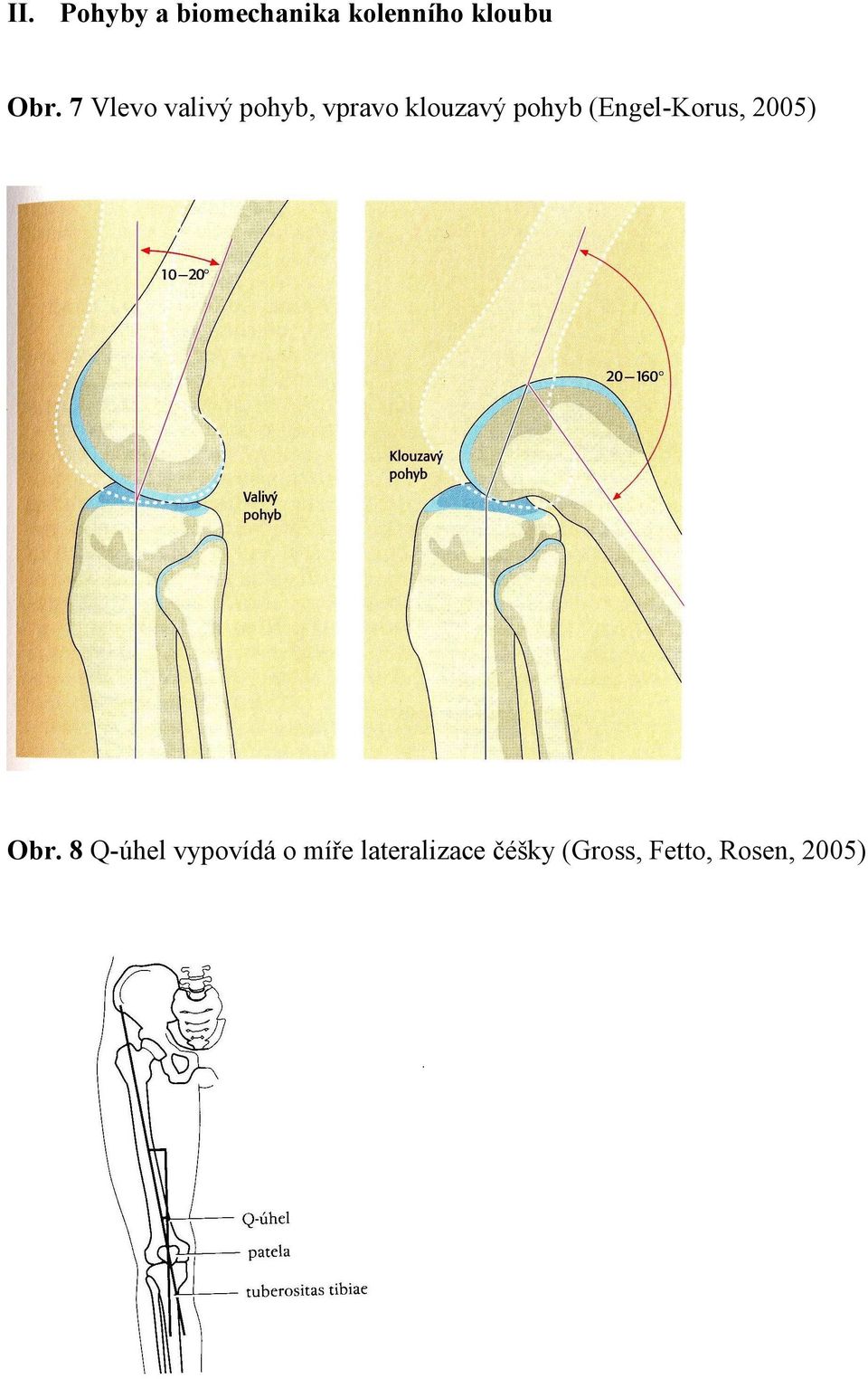 (Engel-Korus, 2005) Obr.