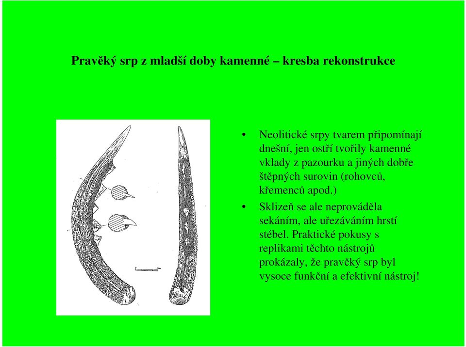 křemenců apod.) Sklizeň se ale neprováděla sekáním, ale uřezáváním hrstí stébel.