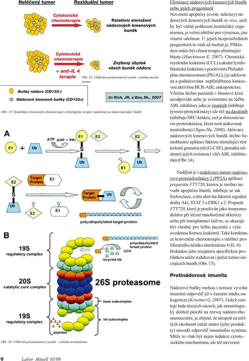 nekrózy) nádorových kmenových bunìk in vivo, aniž by byl vážnì poškozen hostitelský organismus, je velmi obtížné pro výraznou, jim vlastní odolnost.