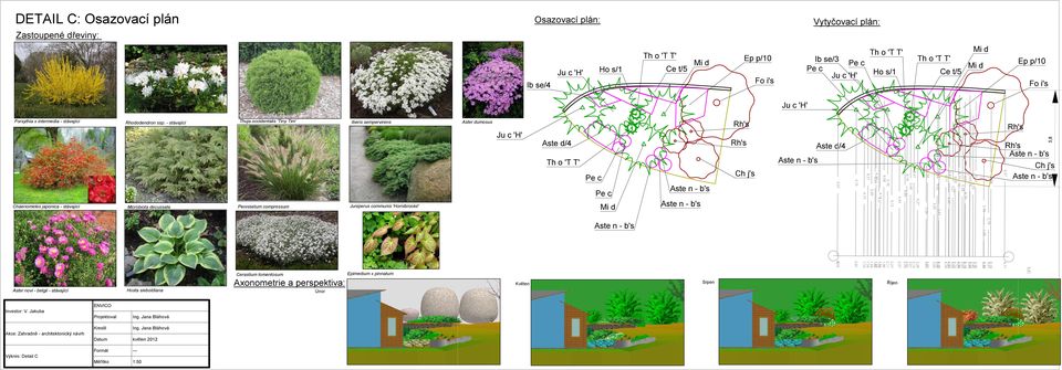 - stávající Microbiota decussata Hosta sieboldiana Thuja occidentalis 'Tiny Tim' Pennisetum compressum Cerastium tomentosum Axonometrie a perspektiva: Únor Iberis sempervirens Juniperus communis