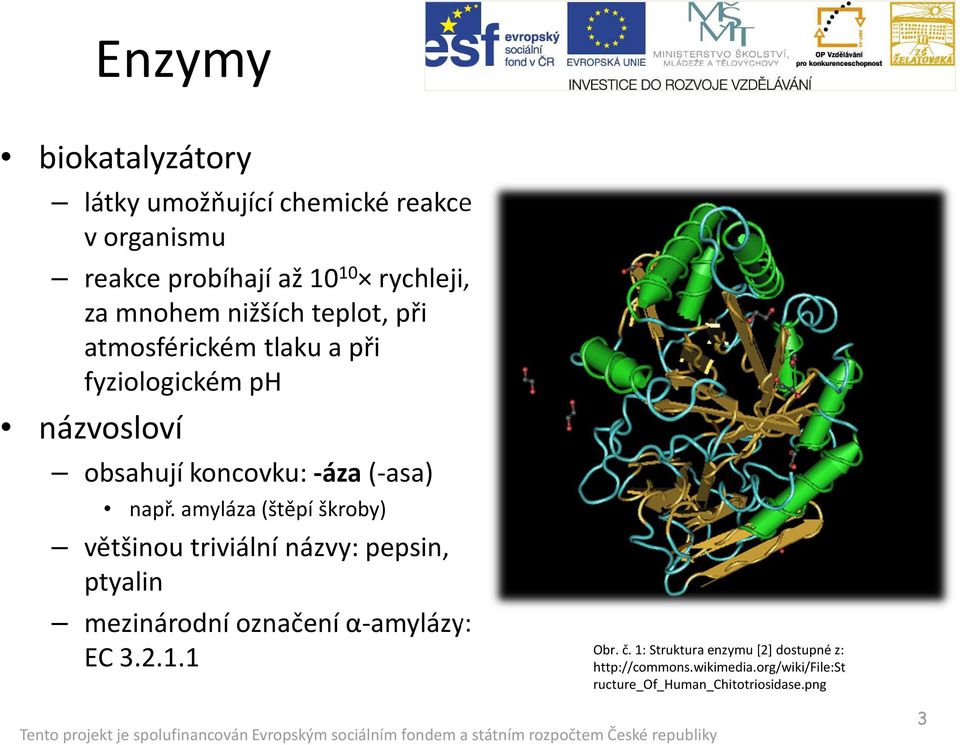 amyláza (štěpí škroby) většinou triviální názvy: pepsin, ptyalin mezinárodní označení α-amylázy: EC 3.2.1.1 Obr. č.