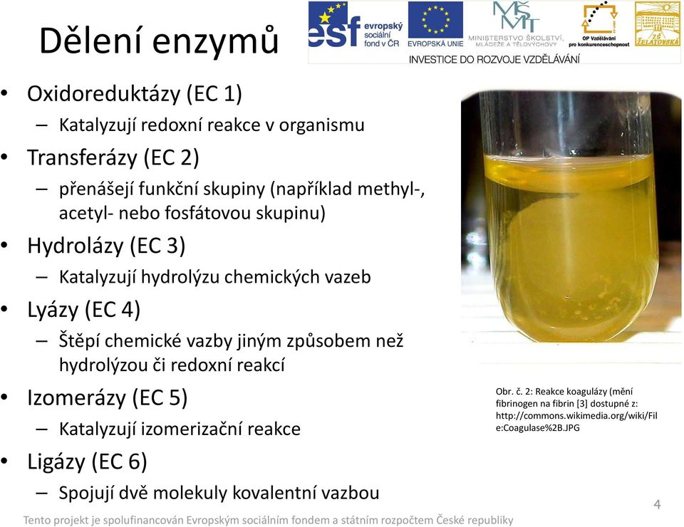 jiným způsobem než hydrolýzou či redoxní reakcí Izomerázy (EC 5) Katalyzují izomerizační reakce Ligázy (EC 6) Spojují dvě molekuly