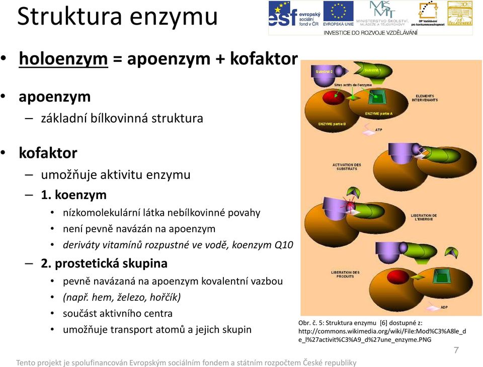 prostetická skupina pevně navázaná na apoenzym kovalentní vazbou (např.