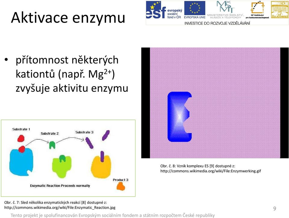 8: Vznik komplexu ES [9] dostupné z: http://commons.wikimedia.