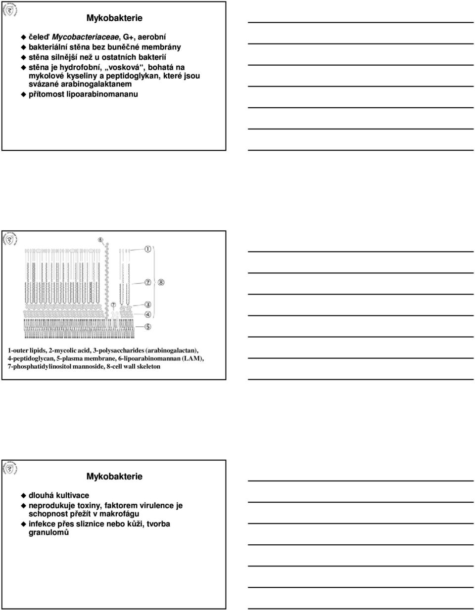 3-polysaccharides (arabinogalactan), 4-peptidoglycan, 5-plasma membrane, 6-lipoarabinomannan (LAM), 7-phosphatidylinositol mannoside, 8-cell wall