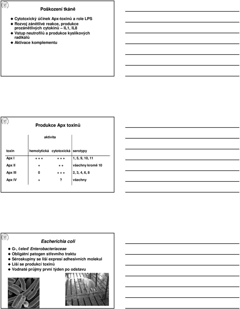 1, 5, 9, 10, 11 Apx II + + + všechny kromě 10 Apx III 0 + + + 2, 3, 4, 6, 8 Apx IV +?