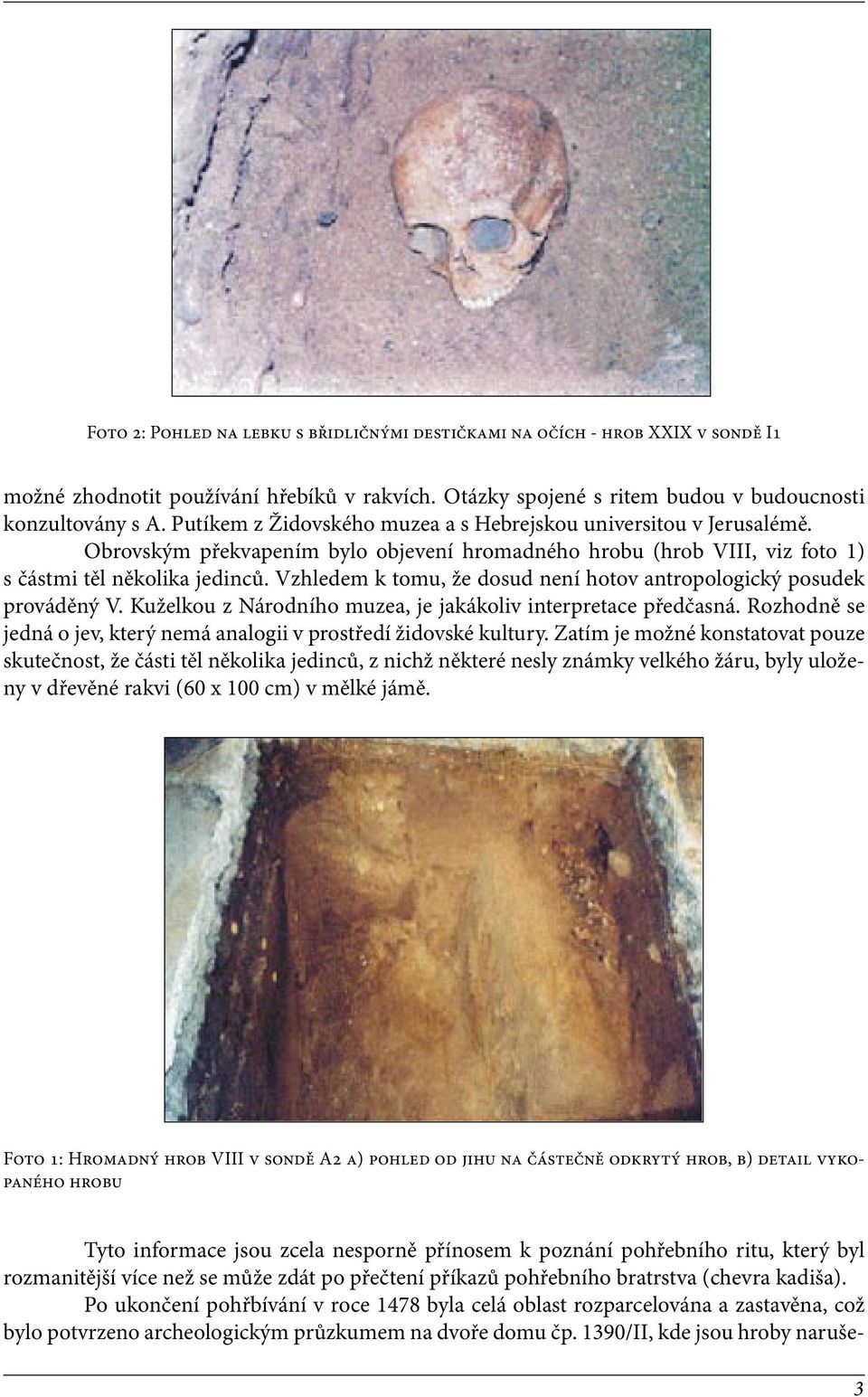 Vzhledem k tomu, že dosud není hotov antropologický posudek prováděný V. Kuželkou z Národního muzea, je jakákoliv interpretace předčasná.