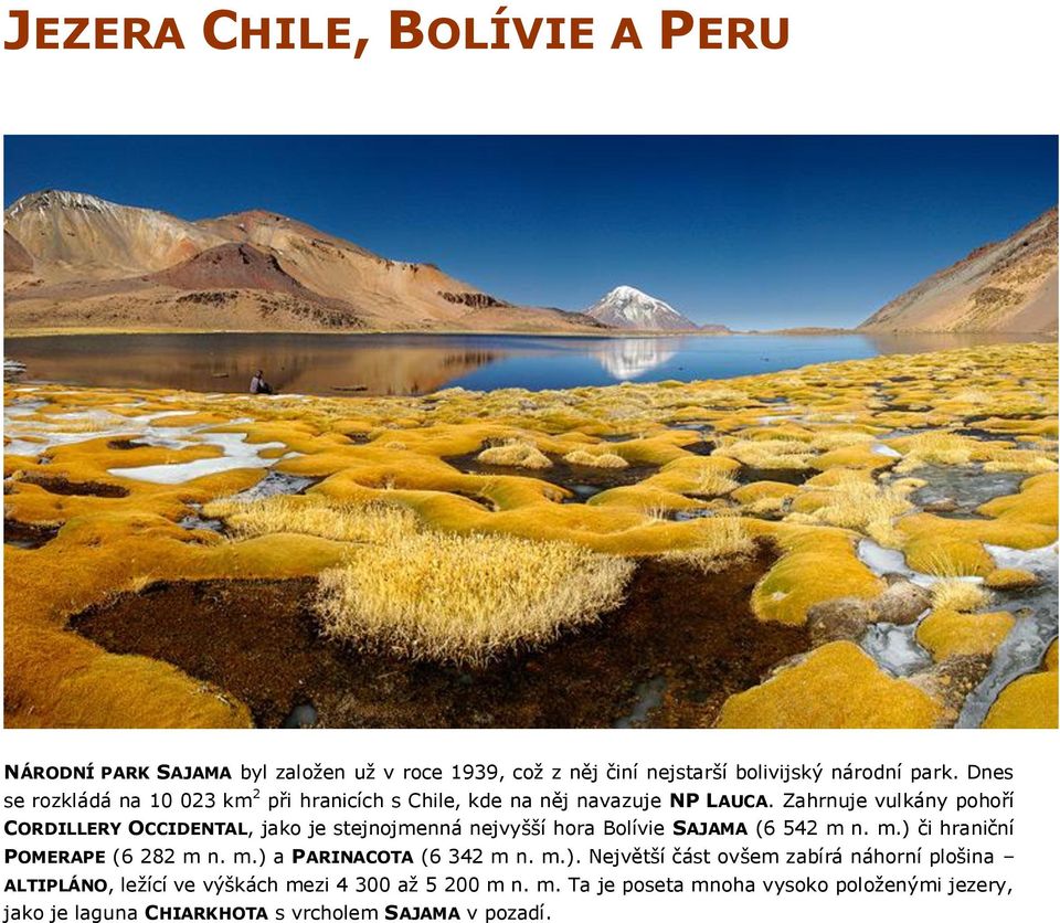 Zahrnuje vulkány pohoří CORDILLERY OCCIDENTAL, jako je stejnojmenná nejvyšší hora Bolívie SAJAMA (6 542 m n. m.) či hraniční POMERAPE (6 282 m n. m.) a PARINACOTA (6 342 m n.