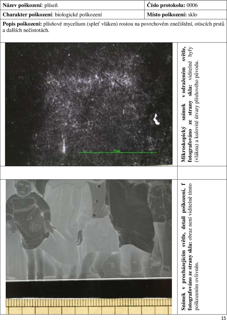 Snímek v procházejícím světle, detail poškození, f fotografováno ze strany skla: obraz není viditelně tímto poškozením