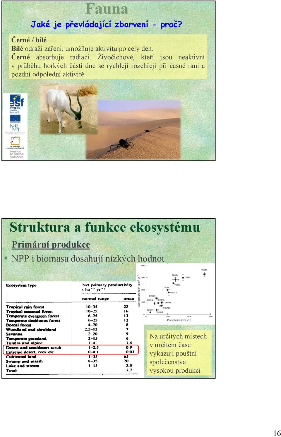 Živočichové, kteří jsou neaktivní v průběhu horkých částí dne se rychleji rozehřejí při časné raní a pozdní