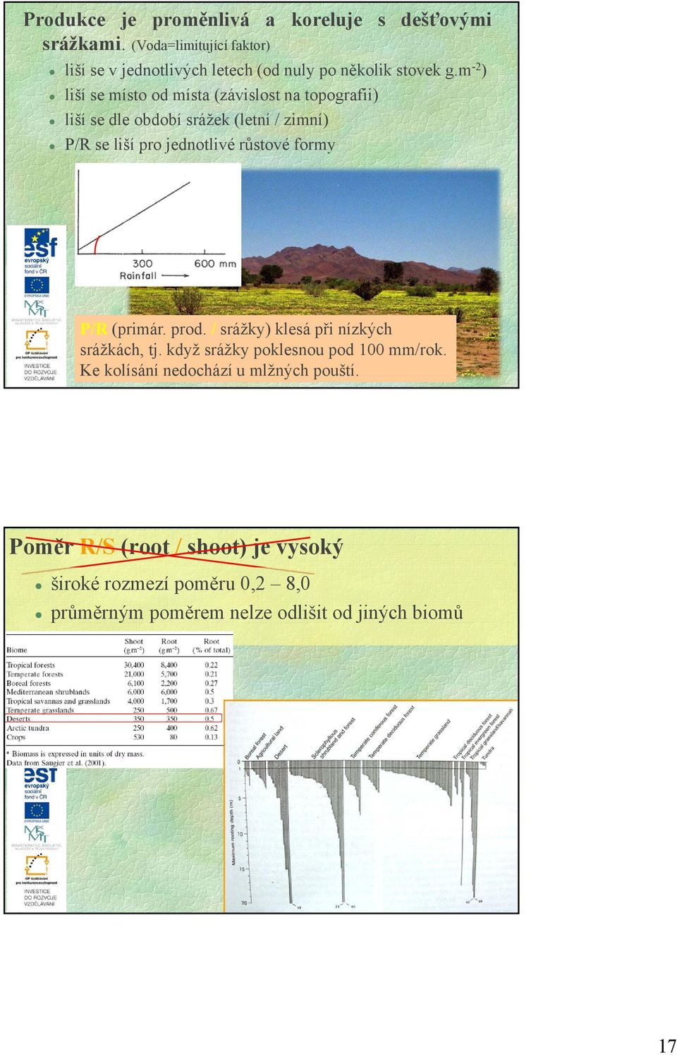 m -2 ) liší se místo od místa (závislost na topografii) liší se dle období srážek (letní / zimní) P/R se liší pro jednotlivé růstové