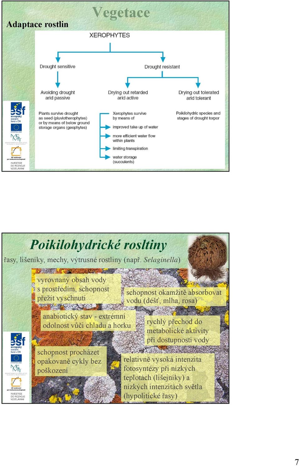 anabiotický stav - extrémní odolnost vůči chladu a horku schopnost procházet opakovaně cykly bez poškození rychlý přechod do