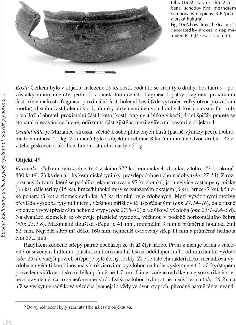 čelisti, fragment lopatky, fragment proximální části vřetenní kosti, fragment proximální části holenní kosti (zde vytvořen velký otvor pro získání morku), distální část holenní kosti, úlomky blíže