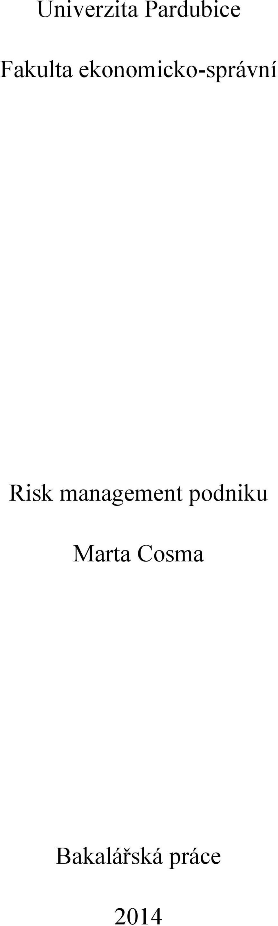 Risk management podniku
