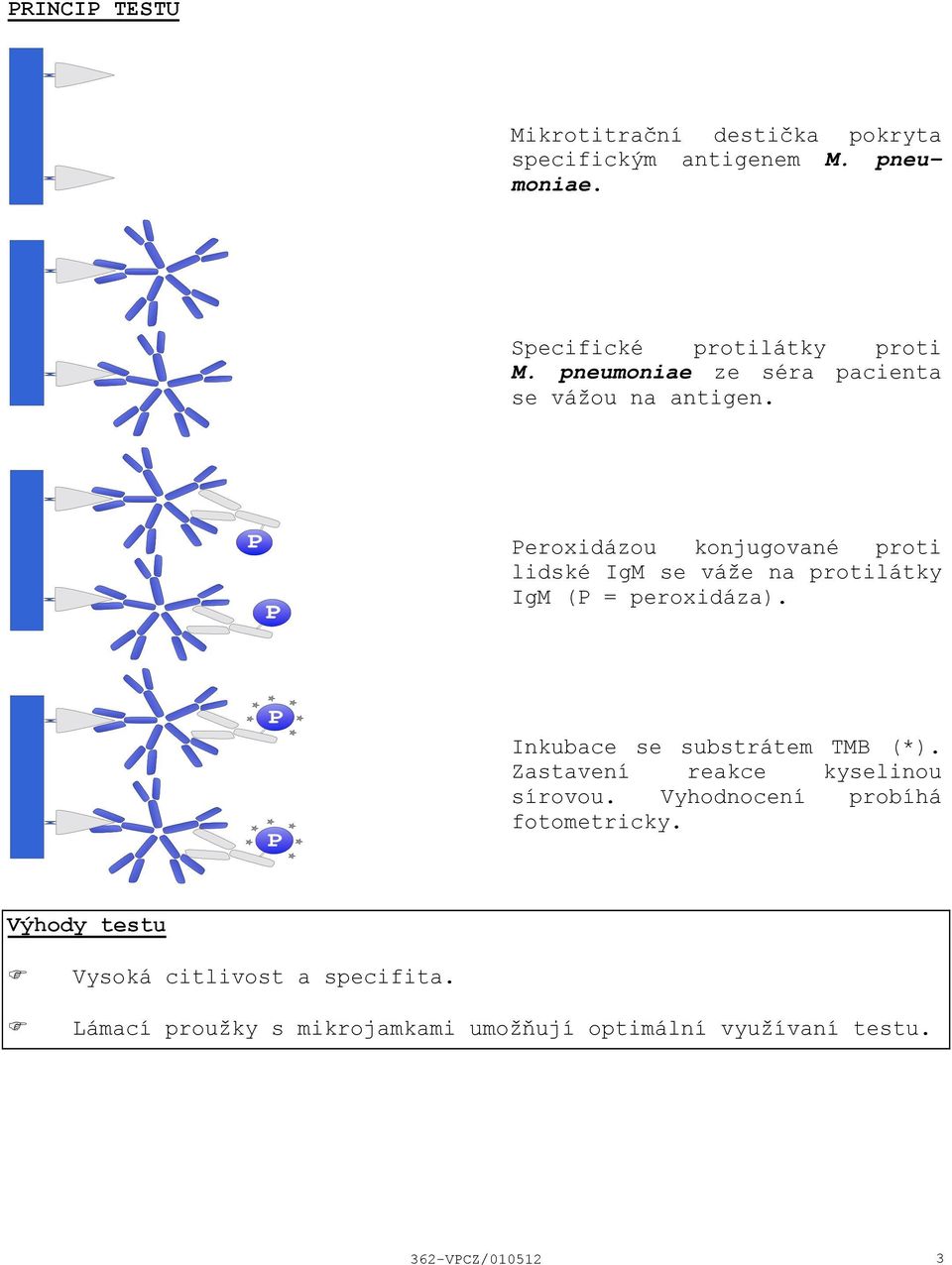 Peroxidázou konjugované proti lidské IgM se váže na protilátky IgM (P = peroxidáza). Inkubace se substrátem TMB (*).