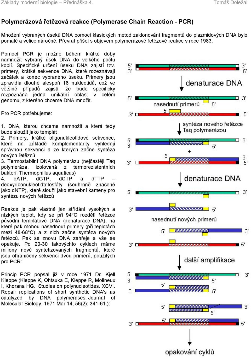 primery, krátké sekvence DNA, které rozeznávají začátek a konec vybraného úseku.