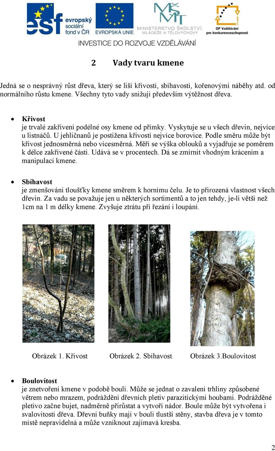 Podle směru může být křivost jednosměrná nebo vícesměrná. Měří se výška oblouků a vyjadřuje se poměrem k délce zakřivené části. Udává se v procentech.