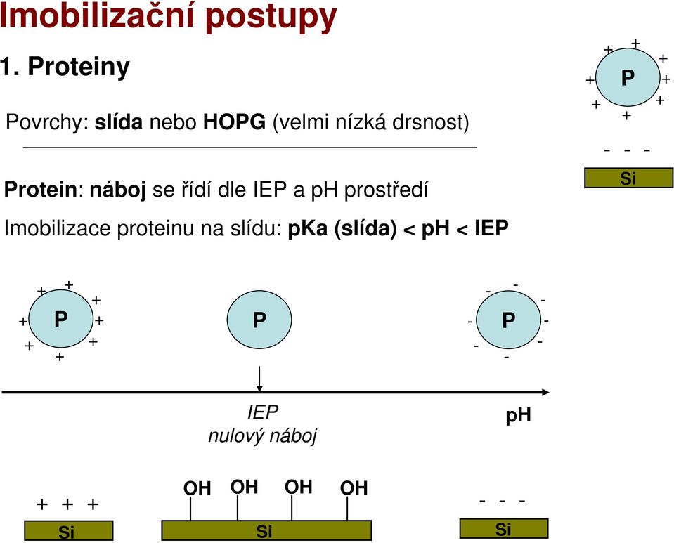 Protein: náboj se řídí dle IEP a ph prostředí Imobilizace