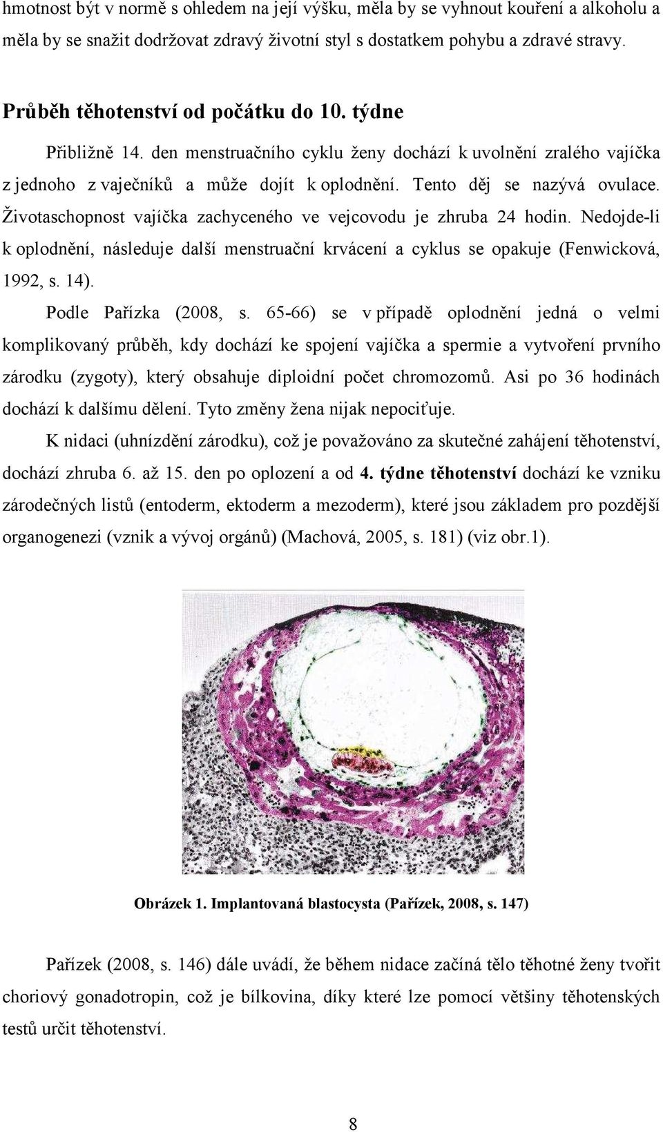 Životaschopnost vajíčka zachyceného ve vejcovodu je zhruba 24 hodin. Nedojde-li k oplodnění, následuje další menstruační krvácení a cyklus se opakuje (Fenwicková, 1992, s. 14). Podle Pařízka (2008, s.