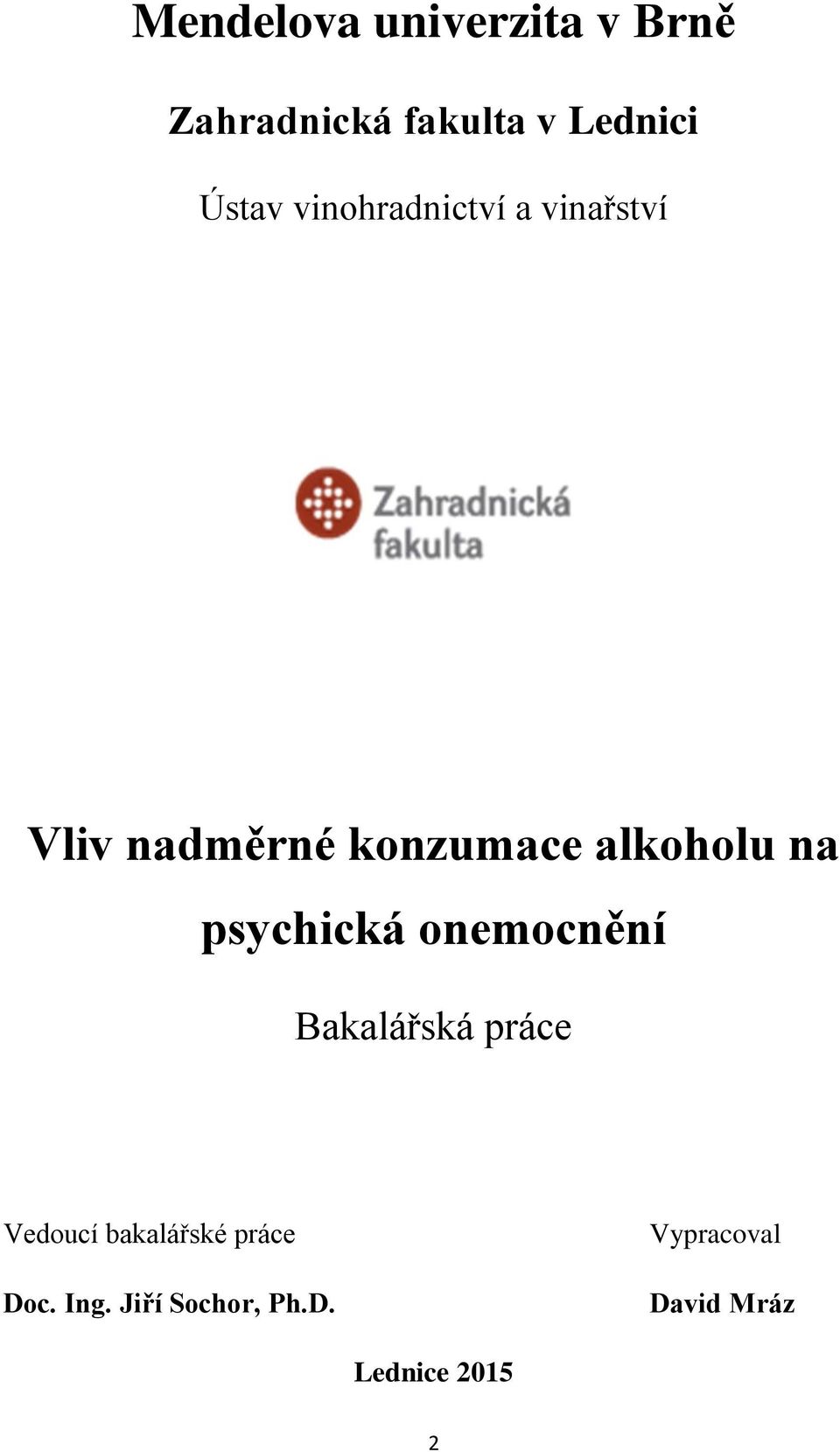 psychická onemocnění Bakalářská práce Vedoucí bakalářské práce