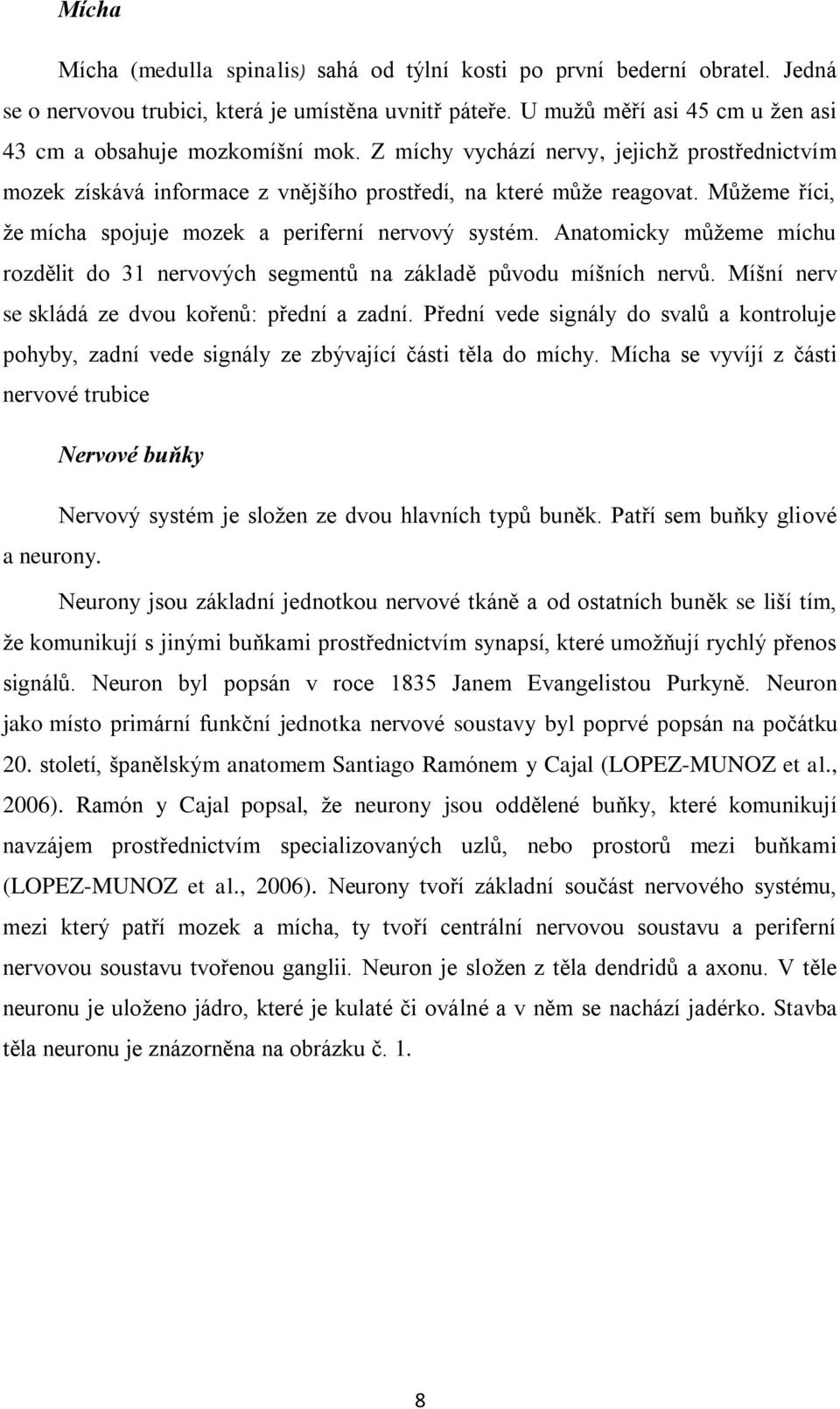 Můţeme říci, ţe mícha spojuje mozek a periferní nervový systém. Anatomicky můţeme míchu rozdělit do 31 nervových segmentů na základě původu míšních nervů.