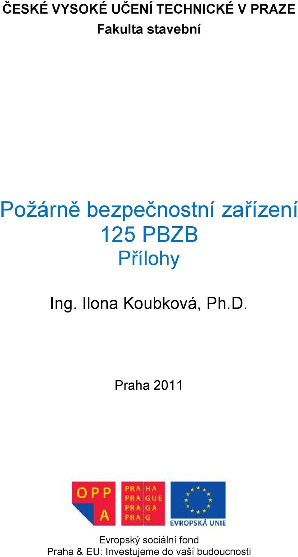 Přílohy Ing. Ilona Koubková, Ph.D.