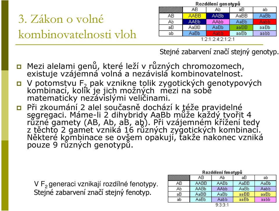 V potomstvu F 2 pak vznikne tolik zygotických genotypových kominací, kolik je jich možných mezi na soě matematicky nezávislými veličinami.