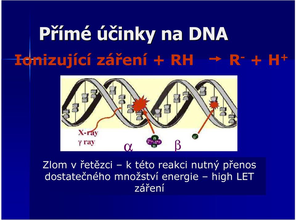 řetězci k této reakci nutný přenos