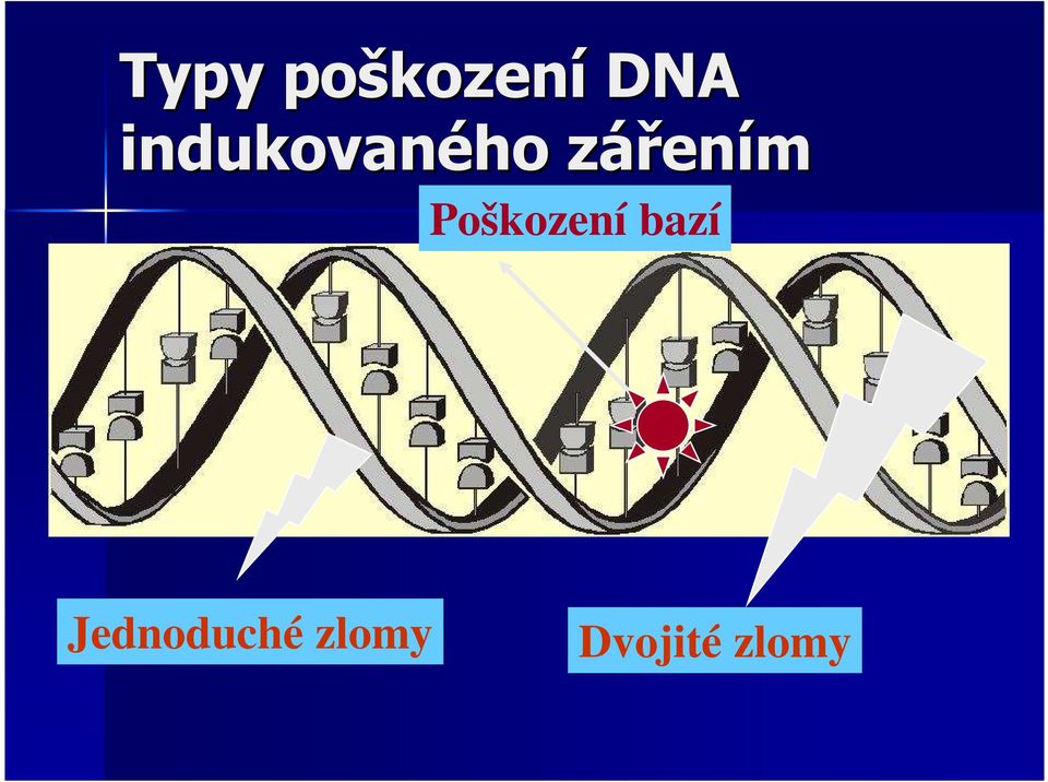 ením Poškození bazí