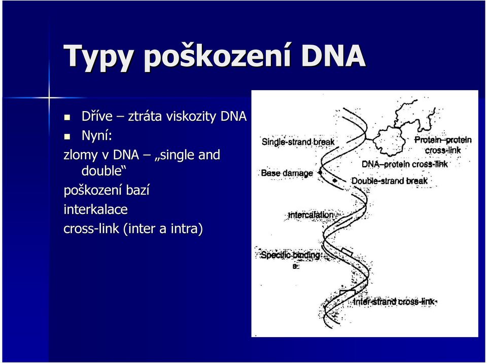 single and double poškozen kození