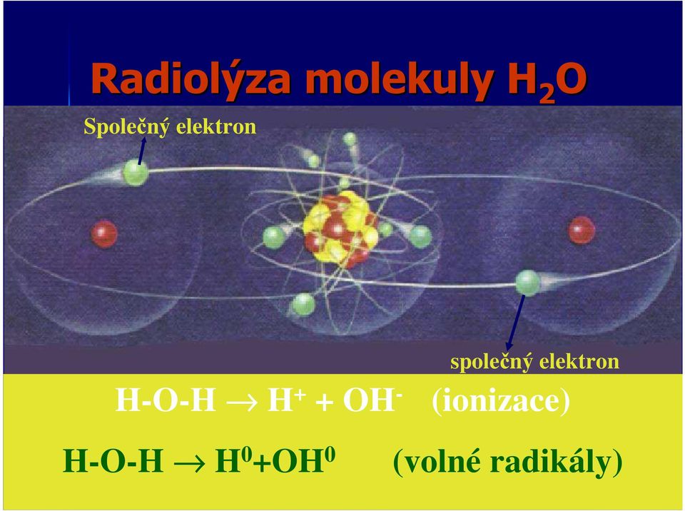 OH - společný elektron