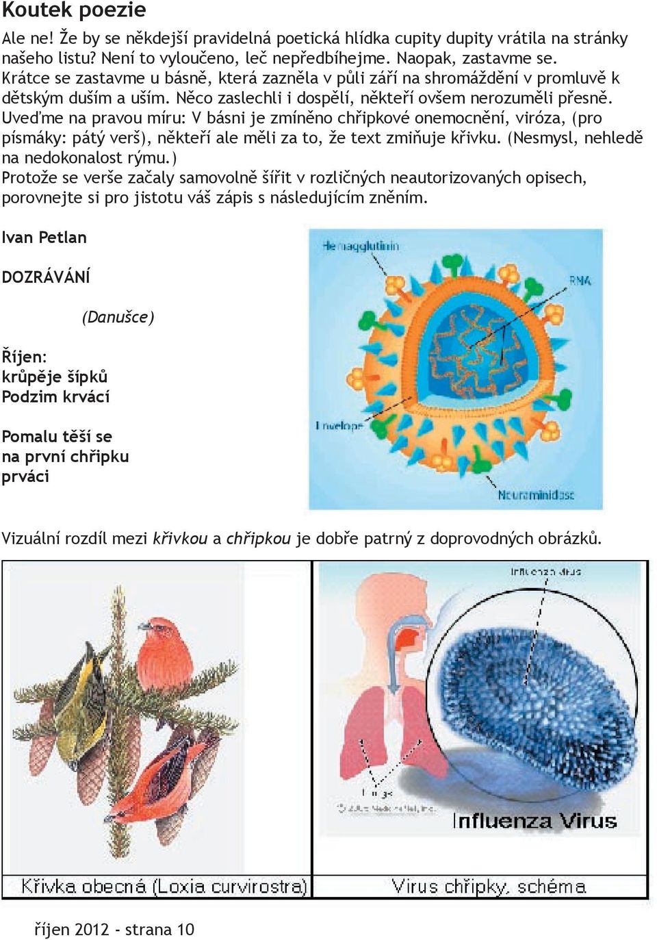 Uveďme na pravou míru: V básni je zmíněno chřipkové onemocnění, viróza, (pro písmáky: pátý verš), někteří ale měli za to, že text zmiňuje křivku. (Nesmysl, nehledě na nedokonalost rýmu.