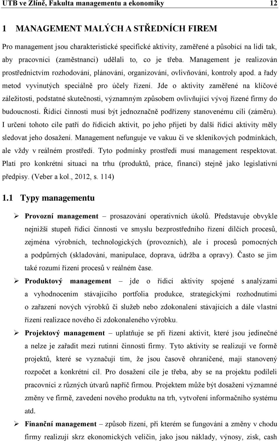 Jde o aktivity zaměřené na klíčové záležitosti, podstatné skutečnosti, významným způsobem ovlivňující vývoj řízené firmy do budoucnosti.