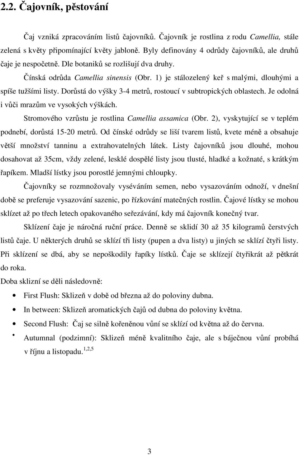 1) je stálozelený keř s malými, dlouhými a spíše tužšími listy. Dorůstá do výšky 3-4 metrů, rostoucí v subtropických oblastech. Je odolná i vůči mrazům ve vysokých výškách.