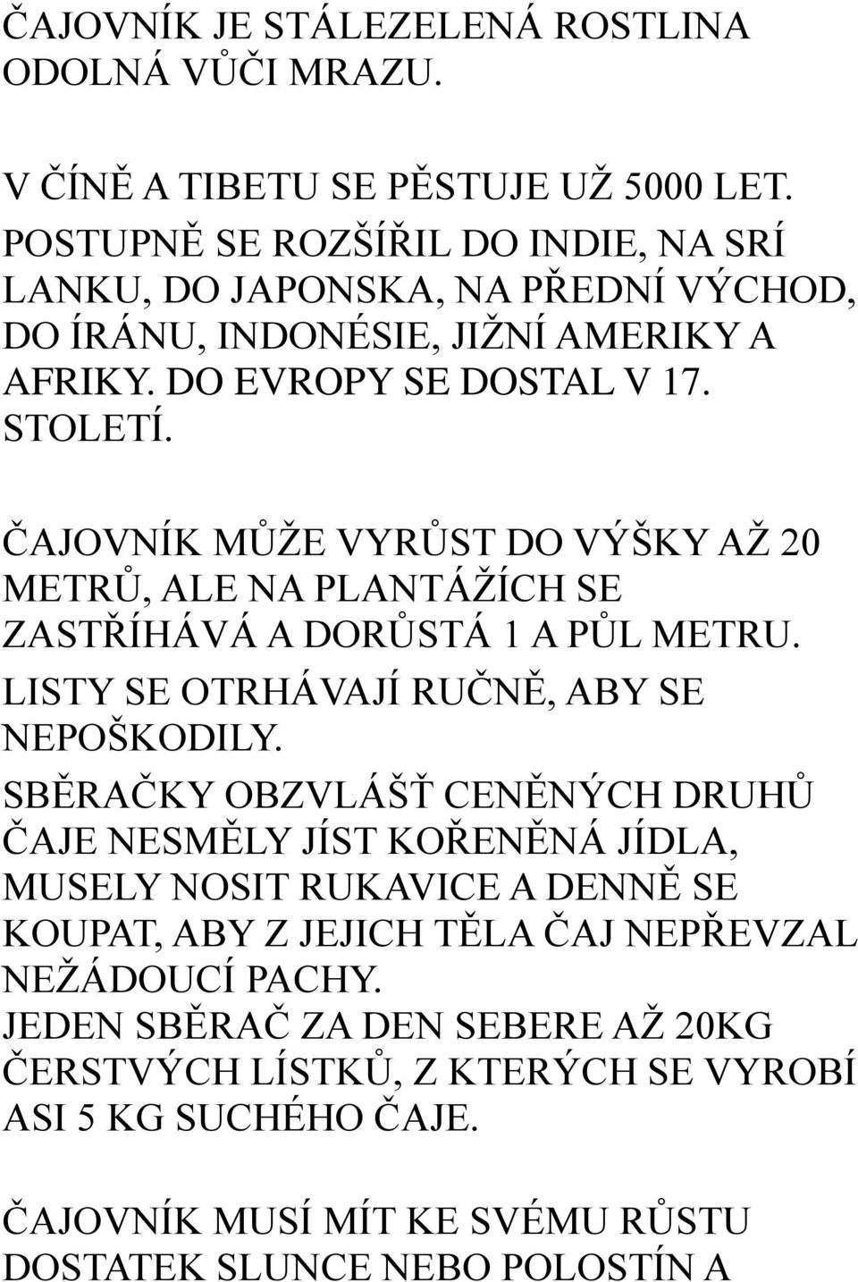 ČAJOVNÍK MŮŽE VYRŮST DO VÝŠKY AŽ 20 METRŮ, ALE NA PLANTÁŽÍCH SE ZASTŘÍHÁVÁ A DORŮSTÁ 1 A PŮL METRU. LISTY SE OTRHÁVAJÍ RUČNĚ, ABY SE NEPOŠKODILY.