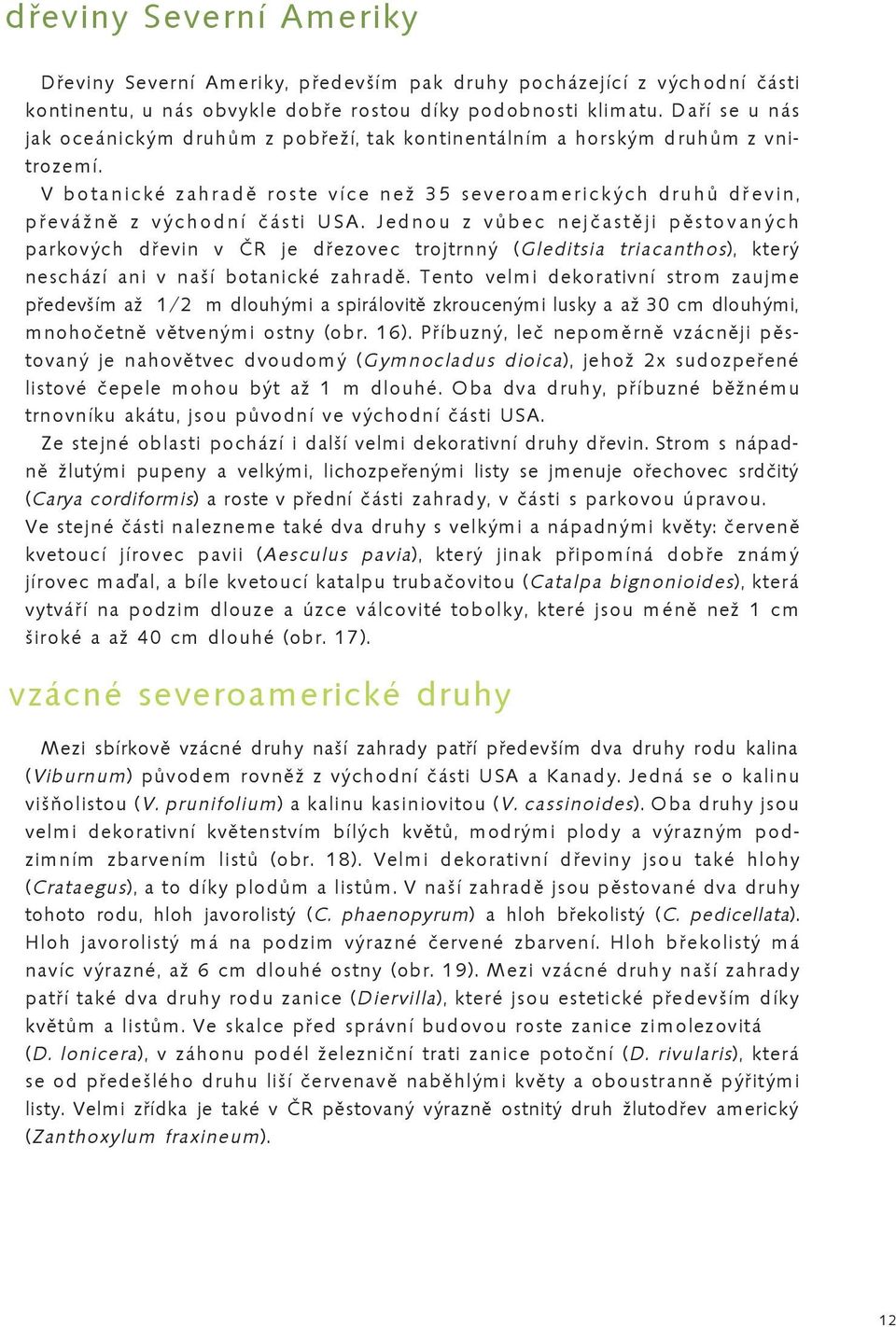 Jednou z vůbec nejčastěji pěstovaných parkových dřevin v ČR je dřezovec trojtrnný (Gleditsia triacanthos), který neschází ani v naší botanické zahradě.