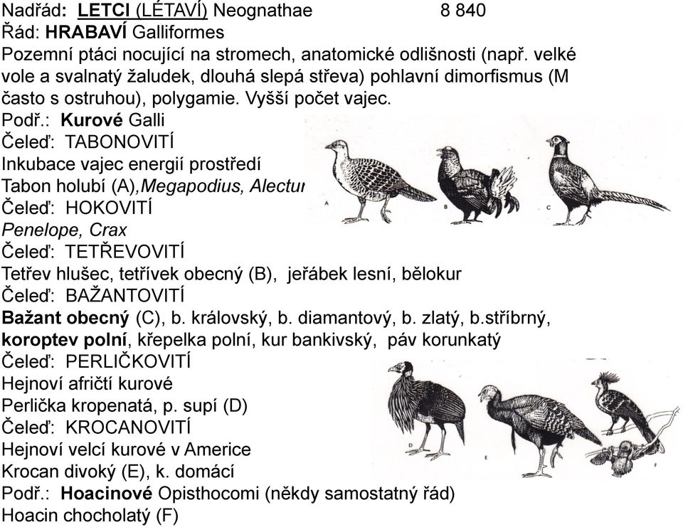 : Kurové Galli Čeleď: TABONOVITÍ Inkubace vajec energií prostředí Tabon holubí (A),Megapodius, Alectura Čeleď: HOKOVITÍ Penelope, Crax Čeleď: TETŘEVOVITÍ Tetřev hlušec, tetřívek obecný (B), jeřábek